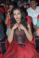 Actress Catherine Tresa at Iddarammayilatho Audio Launch Photos