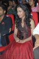 Katherine Theresa at Iddarammayilatho Audio Launch Photos