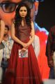 Actress Catherine Tresa at Iddarammayilatho Audio Launch Photos