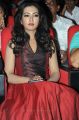 Katherine Theresa at Iddarammayilatho Audio Launch Photos