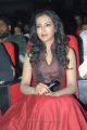 Katherine Theresa at Iddarammayilatho Audio Launch Photos