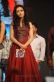 Actress Catherine Tresa at Iddarammayilatho Movie Audio Launch Photos