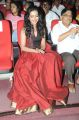 Actress Catherine Tresa at Iddarammayilatho Movie Audio Launch Photos