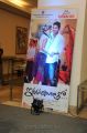 Iddarammayilatho Audio Platinum Disc Function Photos