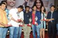 Iddarammayilatho Hexa Platinum Disc Function Stills