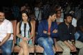 Iddarammayilatho Platinum Disc Function Photos