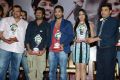 Iddarammayilatho Platinum Disc Function Photos