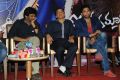 Iddarammayilatho Platinum Disc Function Photos