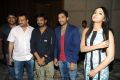 Iddarammayilatho Platinum Disc Function Photos