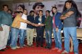 Iddarammayilatho Hexa Platinum Disc Function Stills