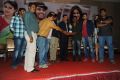 Iddarammayilatho Hexa Platinum Disc Function Photos