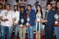 Iddarammayilatho Hexa Platinum Disc Function Photos