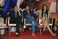 Iddarammayilatho Hexa Platinum Disc Function Photos