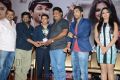 Iddarammayilatho Hexa Platinum Disc Function Photos