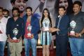 Iddarammayilatho Hexa Platinum Disc Function Photos