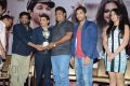 Iddarammayilatho Hexa Platinum Disc Function Photos