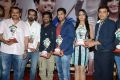 Iddarammayilatho Hexa Platinum Disc Function Photos