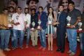 Iddarammayilatho Hexa Platinum Disc Function Photos