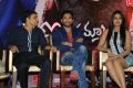 Iddarammayilatho Hexa Platinum Disc Function Photos