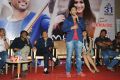 Iddarammayilatho Hexa Platinum Disc Function Photos