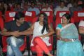 Iddarammayilatho Movie Audio Launch Stills