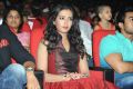 Iddarammayilatho Movie Audio Release Stills