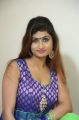 Actress Swapna @ Ide Charutho Dating Press Meet Stills