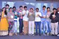 Idega Aasapaddav Audio Launch Function Stills