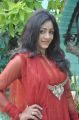 Tamil Actress Idhaya Stills in Red Churidar