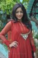 Actress Idhaya Pictures at Aandava Perumal Press Show