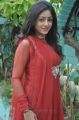 Tamil Actress Idhaya Stills at Aandava Perumal Press Show