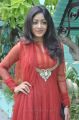 Tamil Actress Idhaya Stills in Red Salwar Kameez