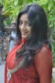 Tamil Actress Idhaya  in Red Churidar Stills