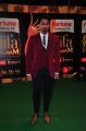 Siddharth @ IIFA Utsavam 2015 Green Carpet Stills