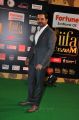 Karthi @ IIFA Utsavam 2015 Green Carpet Stills