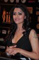 Mamta Mohandas @ IIFA Utsavam 2015 Green Carpet Stills