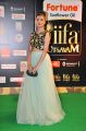 Anisha Ambrose @ IIFA Utsavam 2015 Green Carpet Stills