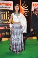 Shanvi Srivastava @ IIFA Utsavam 2015 Green Carpet Stills