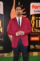 Siddharth @ IIFA Utsavam 2015 Green Carpet Stills