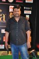 Rajesh M Selva @ IIFA Utsavam 2015 Green Carpet Stills