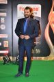 R Madhavan @ IIFA Utsavam 2015 Green Carpet Stills