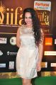 Pooja Ramachandran @ IIFA Utsavam 2015 Green Carpet Stills