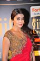 Shriya Saran @ IIFA Utsavam 2015 Green Carpet Stills