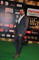 Karthi @ IIFA Utsavam 2015 Green Carpet Stills