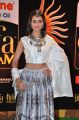 Shanvi Srivastava @ IIFA Utsavam 2015 Green Carpet Stills