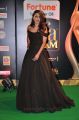 IIFA Utsavam 2015 Green Carpet Stills