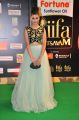 Anisha Ambrose @ IIFA Utsavam 2015 Green Carpet Stills