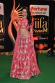 Pragya Jaiswal @ IIFA Utsavam 2015 Green Carpet Stills