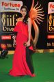 Regina Cassandra @ IIFA Utsavam 2015 Green Carpet Stills