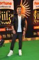 Devi Sri Prasad @ IIFA Utsavam 2015 Green Carpet Stills